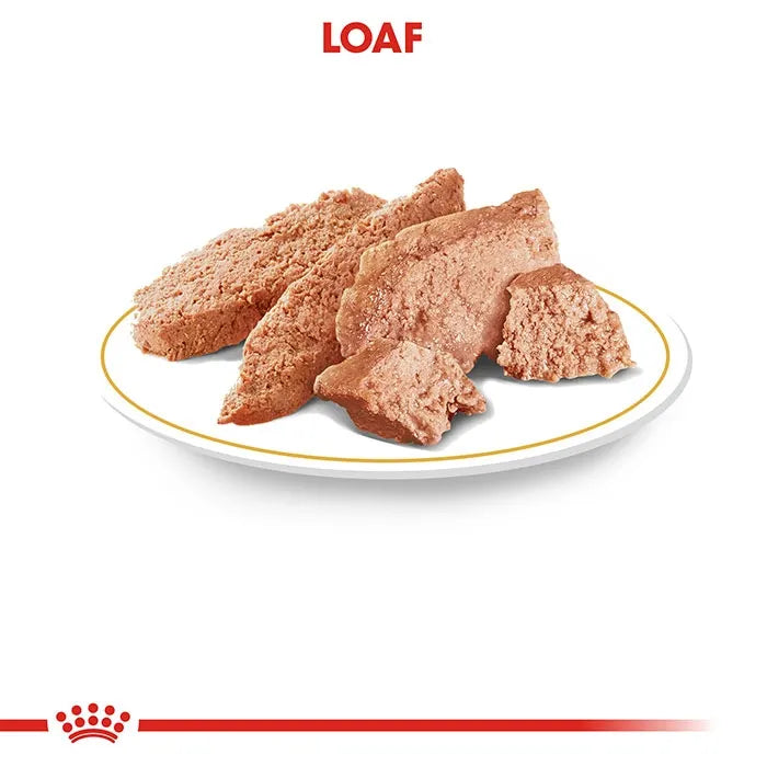 ROYAL CANIN Poodle Breed Adult Wet Dog Food Loaf Pouches
