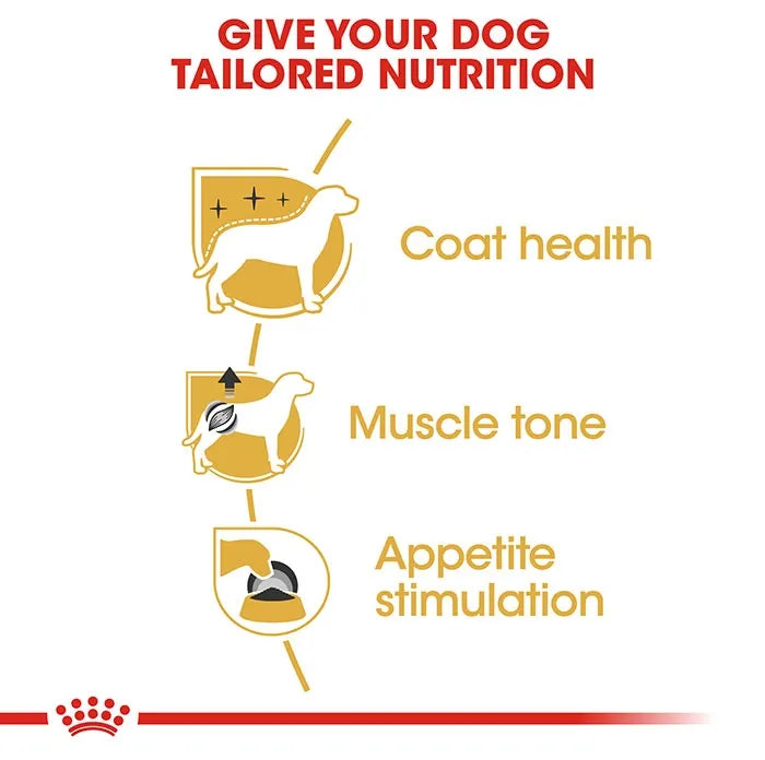 ROYAL CANIN Poodle Breed Adult Wet Dog Food Loaf Pouches