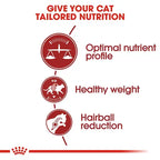 Royal Canin Fit Adult Dry Cat Food 4kg
