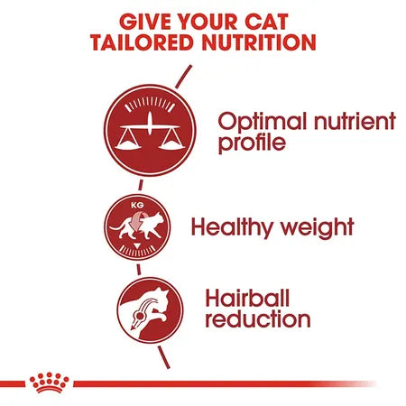 Royal Canin Fit Adult Dry Cat Food 4kg