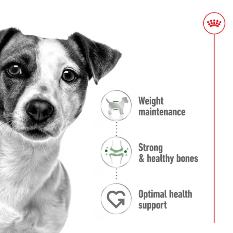 Royal Canin Mini Adult Loaf Wet Dog Food Cans 195g