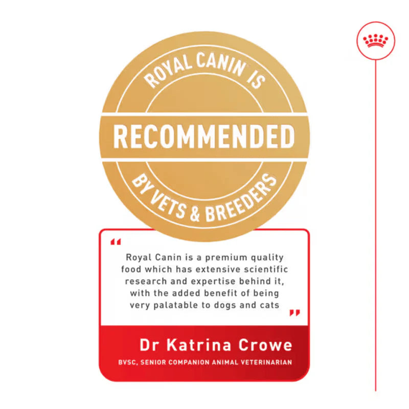 Royal Canin Mini Adult Loaf Wet Dog Food Cans 195g