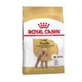 Royal Canin Poodle Adult Dry Dog Food