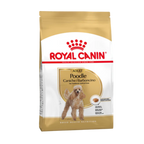 Royal Canin Poodle Adult Dry Dog Food