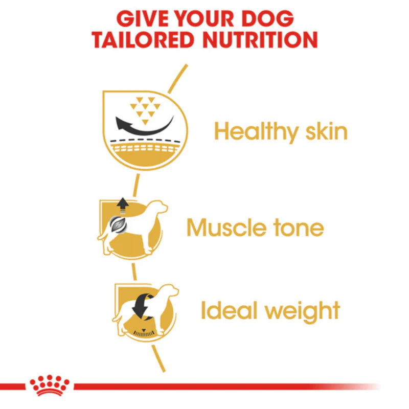 Royal Canin Pug Adult Dry Dog Food 3kg