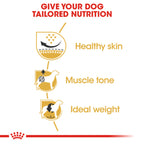 Royal Canin Pug Adult Dry Dog Food 3kg