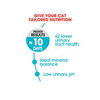 Royal Canin Urinary Care Adult Dry Cat Food 4kg