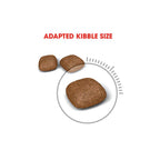Royal Canin Urinary Care Adult Dry Cat Food 4kg