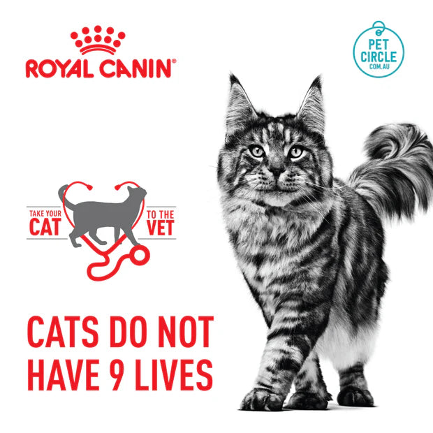 Royal Canin Urinary Care in Gravy Cat Wet Food 12 x 85g