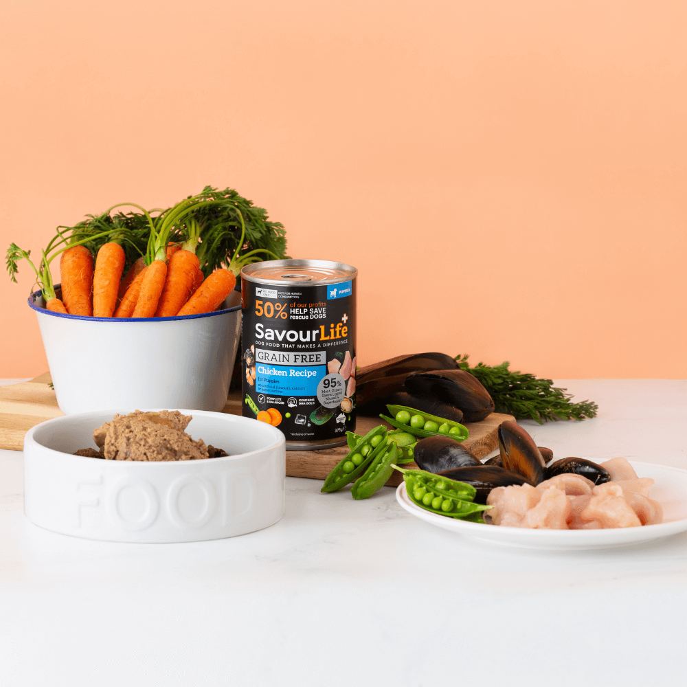 SavourLife Grain Free Puppy Chicken 375g
