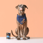 SavourLife Grain Free Puppy Chicken 375g