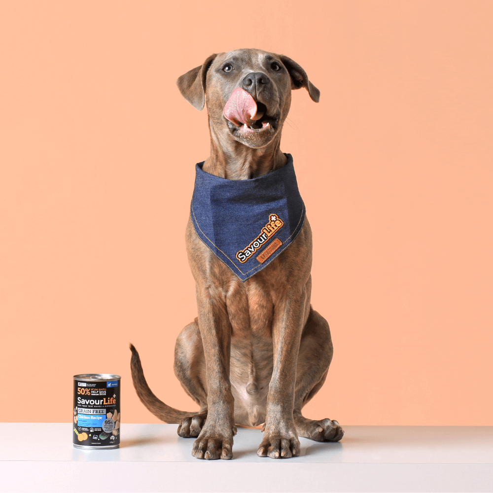 SavourLife Grain Free Puppy Chicken 375g