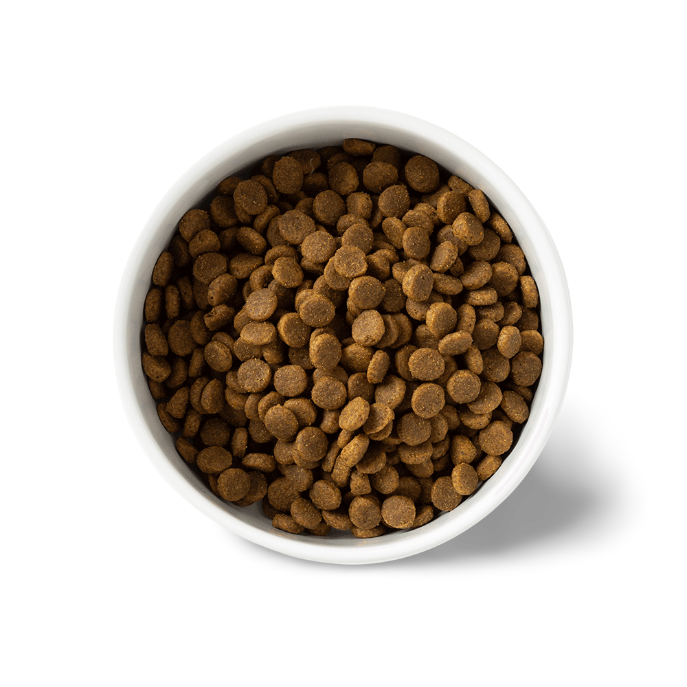 SavourLife Grain Free Puppy Chicken 2.5kg
