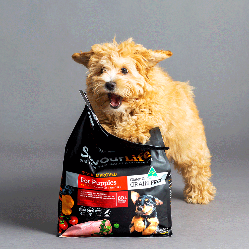 SavourLife Grain Free Puppy Chicken 2.5kg