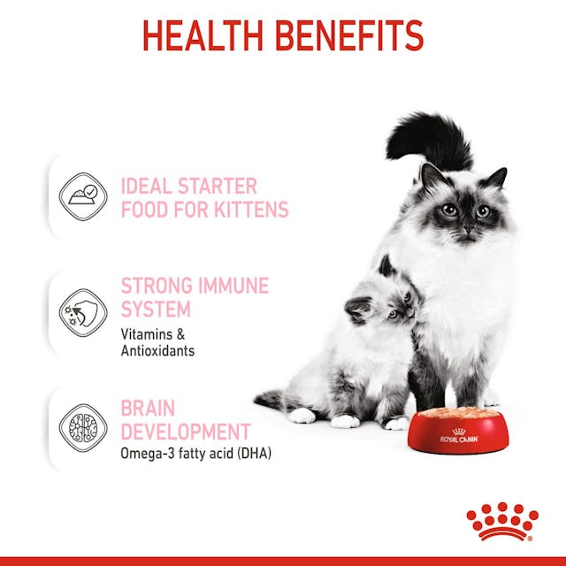 Royal Canin  Mother And Baby Wet Cat Food Cans 195g