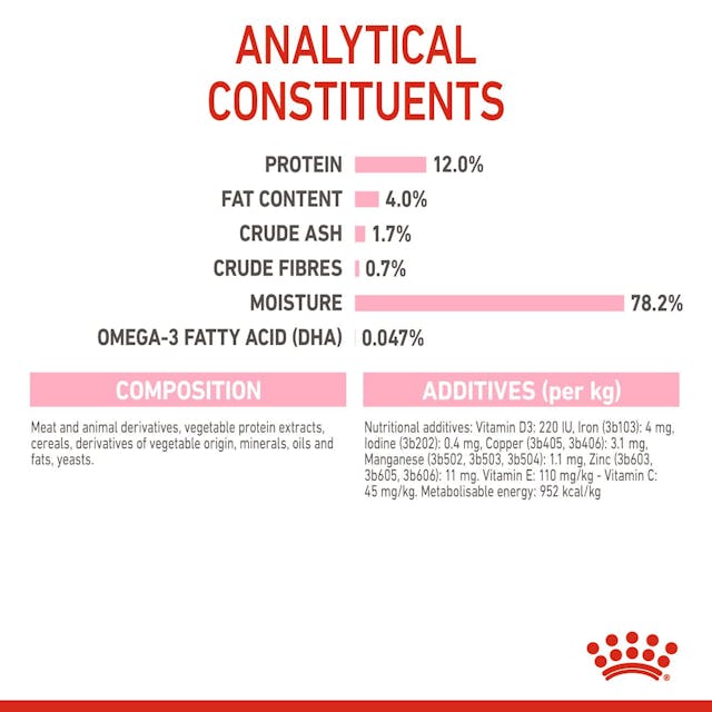 Royal Canin Kitten Wet Food in Gravy 12 x 85g