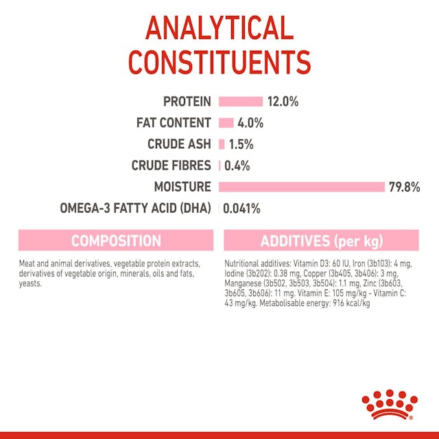 Royal Canin Kitten Wet Food in Jelly 12 x 85g