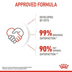 Royal Canin Kitten Wet Food in Jelly 12 x 85g