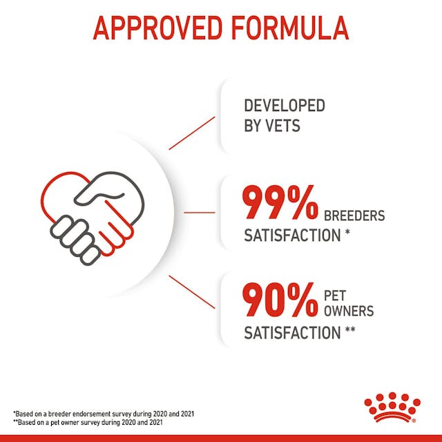 Royal Canin Kitten Wet Food in Jelly 12 x 85g