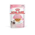 Royal Canin Kitten Wet Food in Jelly 12 x 85g