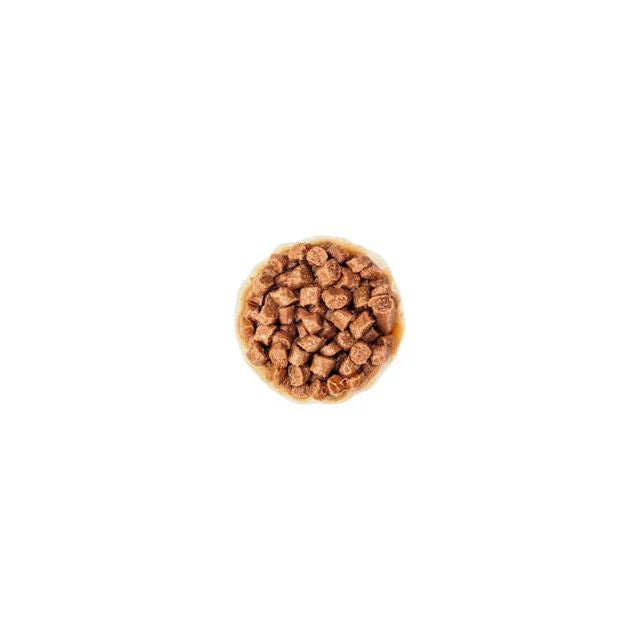 Royal Canin Kitten Wet Food in Gravy 12 x 85g