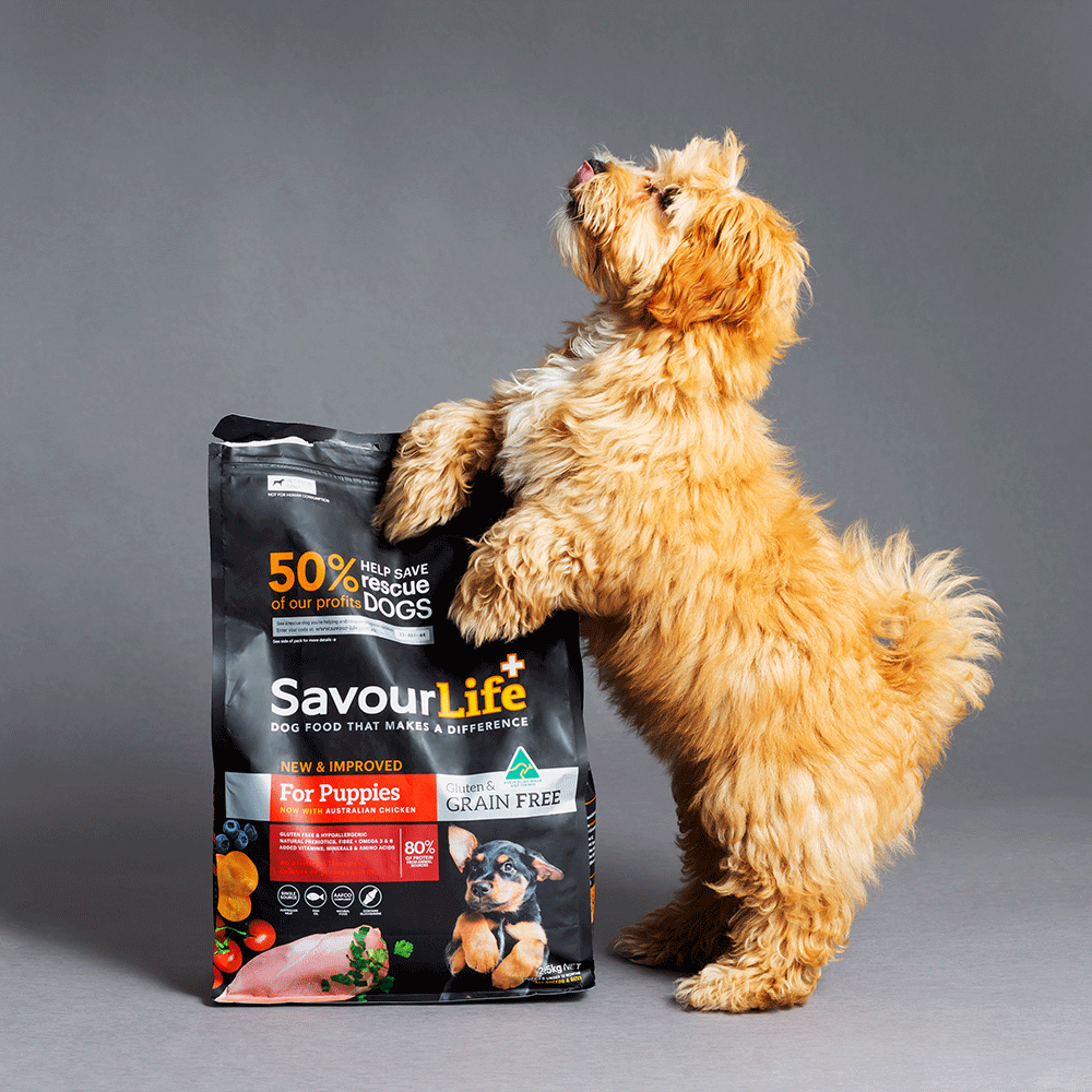 SavourLife Grain Free Puppy Chicken 2.5kg