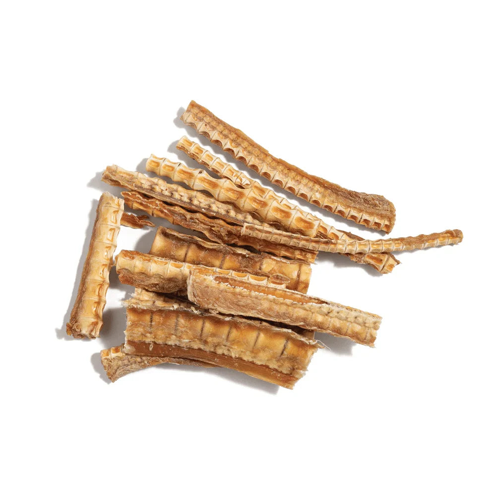 THE PET PROJECT SHARK CARTILAGE 100G