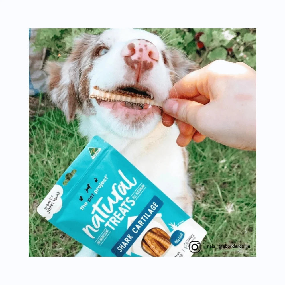 THE PET PROJECT SHARK CARTILAGE 100G