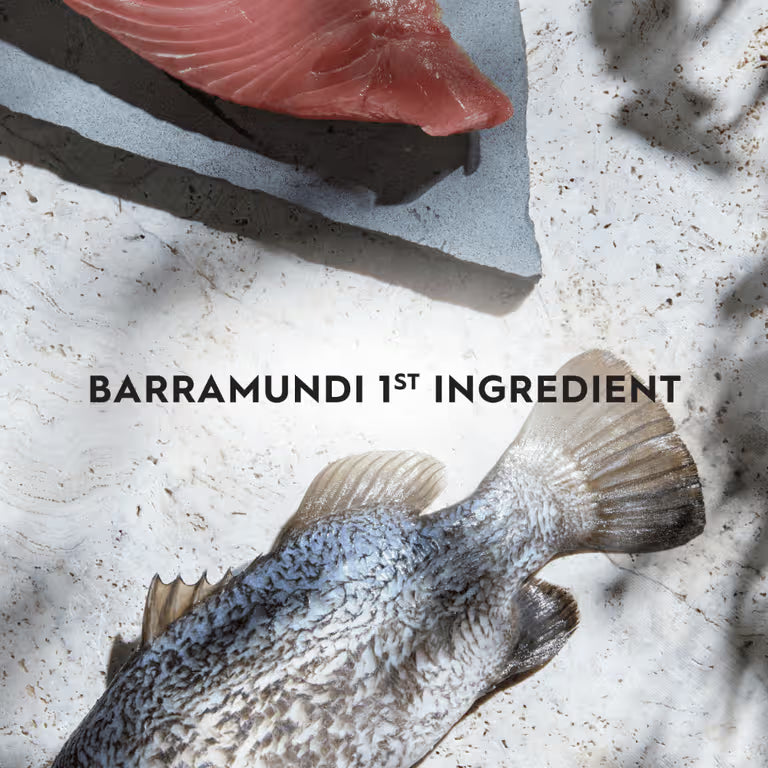 TRILOGY Adult Australian Barramundi & Freeze Dried Lamb Dry Cat Food