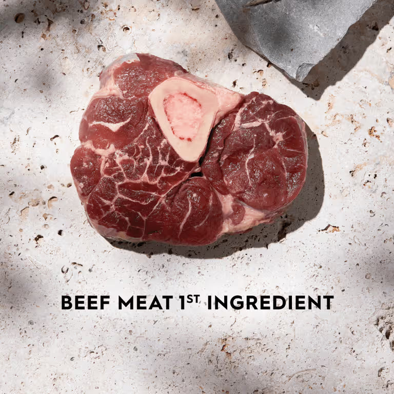 TRILOGY Adult Australian Beef & Freeze Dried Lamb Dry Cat Food