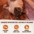 Wellness Signature Selects Poultry Variety Pack Adult Wet Cat Food Pouch