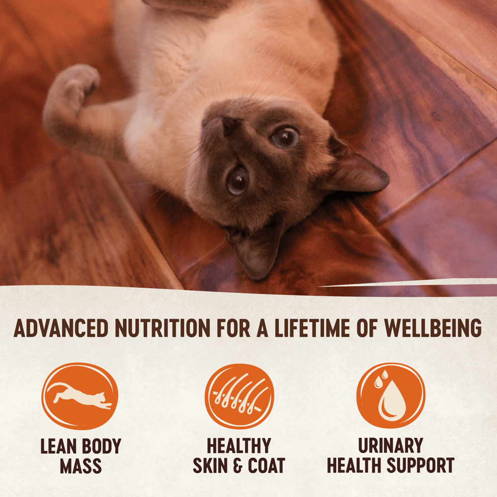 Wellness  Signature Selects Seafood Variety Pack Adult Wet Cat Food Pouch 8 X 79G